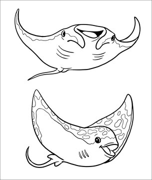 black and white manta rays clip art preview