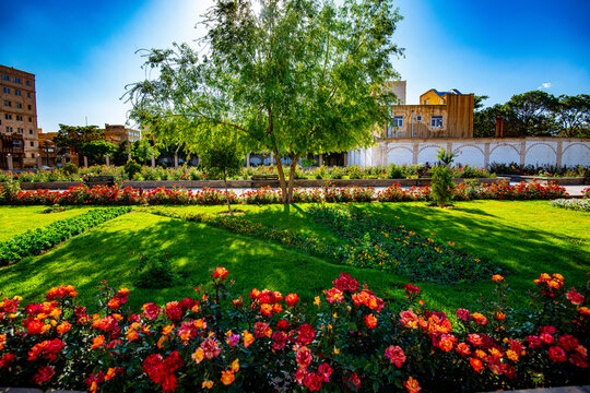 Vibrant Rose Gardens at the Qajar Museum - Amir Nezam House, Tabriz, Iran