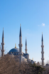 Fototapeta na wymiar Sultanahmet or Blue Mosque vertical photo.