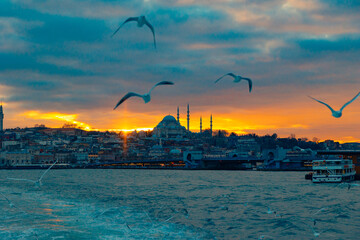 Istanbul view at sunset with mosque and seagulls