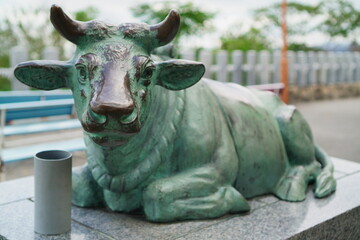 神社境内にある撫で牛