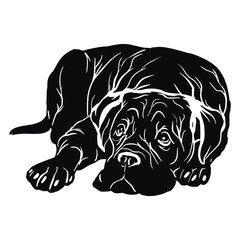 Cane Corso - Lying Dog, Funny dog Cut File for cricut vector clipart
