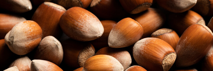 Raw hazelnuts in shells, agricultural harvest, protein food ingredients
- 748037647