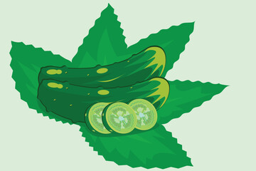 Cucumber hand drawn vector set. Isolated cucumber, sliced pieces and plant. Vegetable engraved style illustration. Detailed vegetarian food drawing. Farm market product.