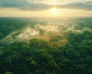 Fototapeta na wymiar Lush rainforest canopy teeming with biodiversity, a bird's-eye view of animal habitats and ecosystems