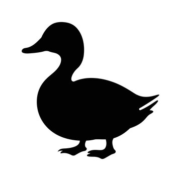 recommend clip art: Duck silhouette. Domestic hand-drawn duck bird silhouette vector illustration
                    