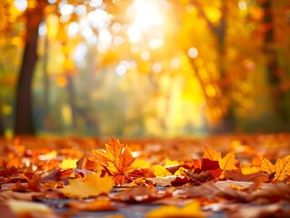 Naklejka na ściany i meble Beautiful orange fall leaves autumn landscape fall background