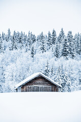Snow-Covered Wooden Barn Against a Dense Forest in Swedish Winter