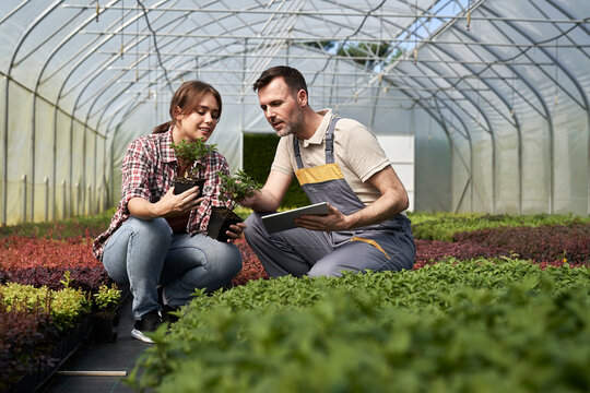 Two caucasian botanists crouching in the greenhouse and using digital tablet - Powered by Adobe