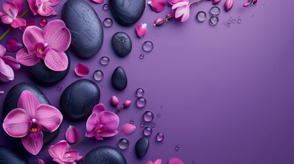 Top view Flat-lay composition with black spa stones massage treatment and flowers isolated purple...