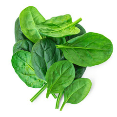 Spinach leaves isolated on white background. Various fresh green Espinach Macro. Top view. Flat lay..
