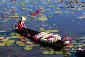 A young woman gracefully rows her wooden boat across the tranquil surface of the pond, her slender fingers delicately plucking vibrant water lilies that bloom along the edges, their petals glistening  - obrazy, fototapety, plakaty