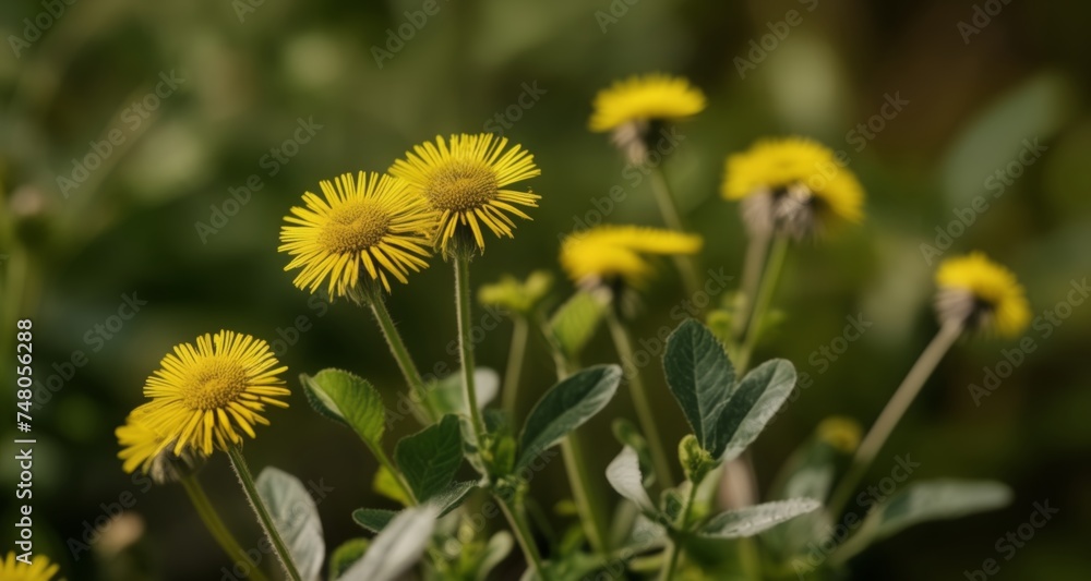 Sticker  Brighten your day with a bouquet of sunshine!