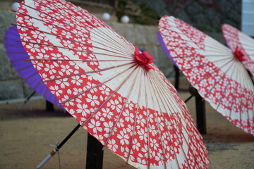 八幡宮境内に飾られた可愛い花柄の番傘
