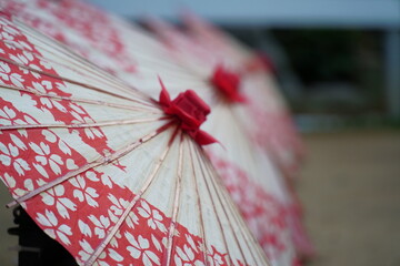 八幡宮境内に飾られた桜模様の番傘