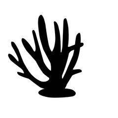 Fototapeta premium Sea Coral Silhouette 