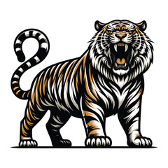 Obraz premium Wild roaring tiger full body vector illustration, zoology illustration, animal predator big cat design template isolated on white background