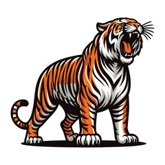 Obraz premium Wild roaring tiger full body vector illustration, zoology illustration, animal predator big cat design template isolated on white background