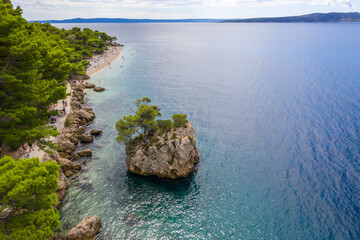 Aerial photography. A lonely pine tree grows on a rock. Brela, famous, tourist place, Croatia