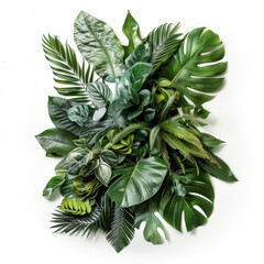Obraz premium banner with a realistic, high-definition pattern of tropical leaves, including detailed views of monstera and palm leaves