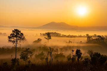 Landscape of Thung Salaeng Luang National Park Phetchabun Province Beautiful nature of sunrise and morning fog in the savannah in winter season thailand.