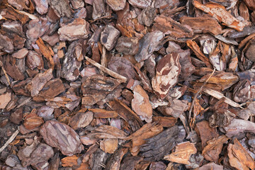 palm tree bark texture