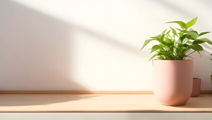 Plant in a vase on the wooden table aganist a white wall bathed in sunlight. Perfect product showcase background.