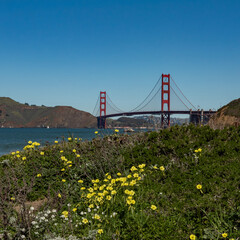 Panoramic view of the Golden Gate Bridge viewed from Baker beach on a mostly blue sky day copy space