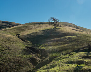 A hill with green grass at the Lagoon Valley Park in Vacaville, CA, showing signs of erosion, wiht blue sky copy space - 748089472