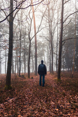 Young man in jacket and trousers with bacpack walking on forest path  in morning fog. Czech landscape, travel, relax concept
