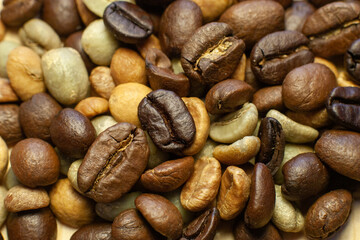 roasted and unroasted coffee beans
