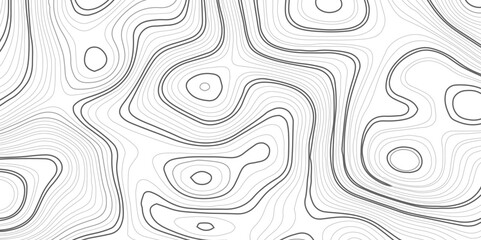 White paper wave curve relief geometric wave grid line background. . Abstract wavy topographic map and curved lines background. Vector illustration.