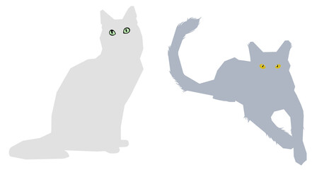2 graue Katzen – PNG, 10191px x 5462px, 300 DPI, transparenter Hintergrund