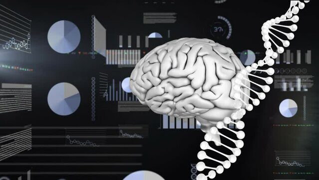 Animation of digital brain and dna strand over financial data processing on black background