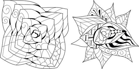 Set of Succulents houseplant for coloring. Print shape home plant urban tropical jungle decor.