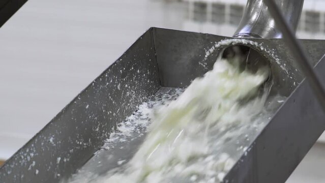 Industrial Dairy Food Plant. A Lot of Whey Pieces are Pouring out of the Metal Tube. Liquid Whey is Being Processed at the Milk Factory. Whey is Refined for Cottage Cheese Production. Slow-motion.