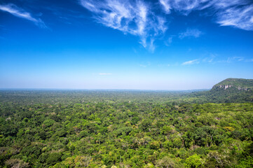 Jungle landscape near Cerro Azul and Chiribiquete National Park in Guaviare, Colombia