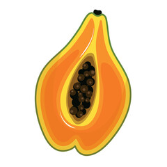 Web Summer fruits for healthy lifestyle. Fresh bright exotic half papaya fruit isolated on white background.  Organic fruit.