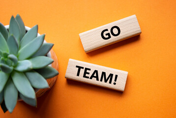 Go Team symbol. Concept word Go Team on wooden blocks. Beautiful orange background with succulent...