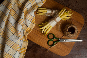 Cutting board with two bunch and several pods of flat runner bean pods heap with yellow kitchen towel, scissors and ball of thread on wooden background. .