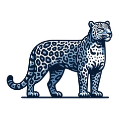 Wild jaguar leopard full body vector illustration, zoology illustration, animal predator big cat design template isolated on white background