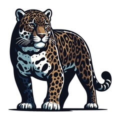 Obraz premium Wild jaguar leopard full body vector illustration, zoology illustration, animal predator big cat design template isolated on white background