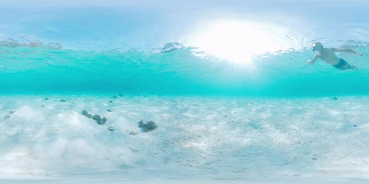 360VR underwater footage of the man swimming and snorkeling in the blue clear tropical sea in West Papua, Indonesia