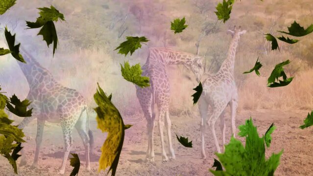 Animation of green leaves falling over giraffes in landscape