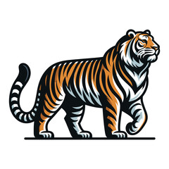 Fototapeta premium Wild tiger full body vector illustration, zoology illustration, animal predator big cat design template isolated on white background