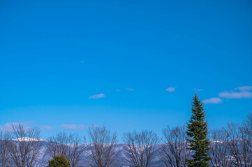 早春の青空と雪山　