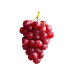 Fototapeta premium bunch of red grapes isolated on Transparent Background