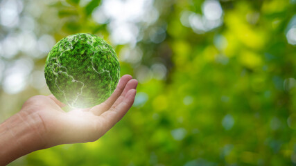 Sustainable  Environment concept. Green earth planet in hands with shining light. Save and protection Earth. the Environment World Earth Day.