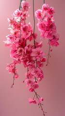 Elegant Cherry Blossoms Suspended on Rope, Spring Floral Display created with Generative AI technology
