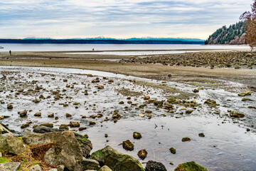 Rocky Puget Sound Shoreline 6